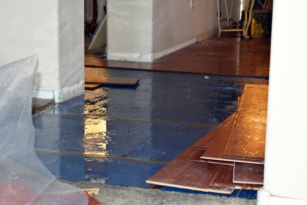 Professional Water Damage Restoration technician working in Camden, OH